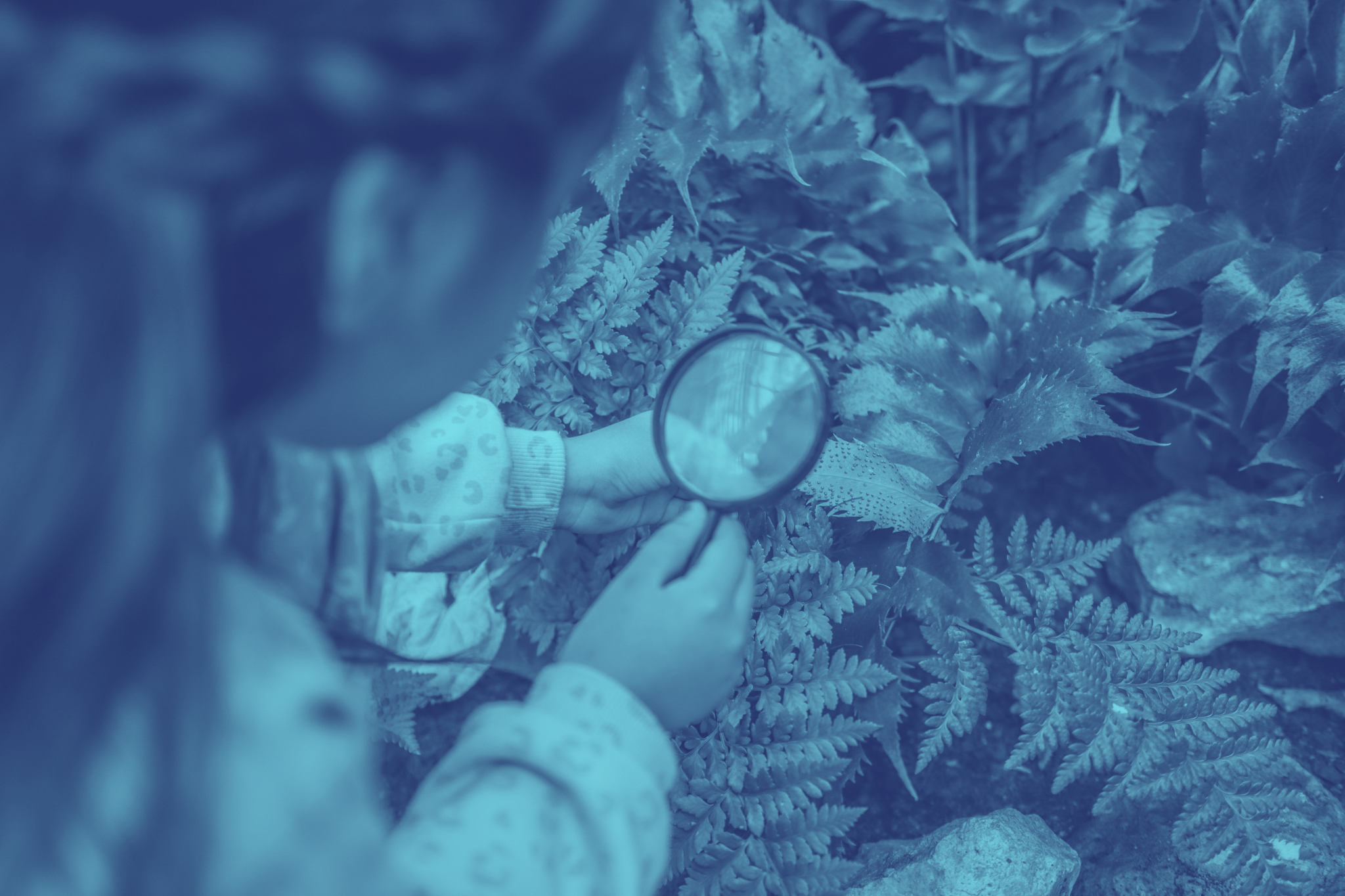 Tecnología que nos hace comunidad