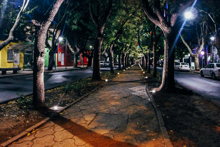 Paseo arbolado iluminado, obra con pertinencia cultural y local