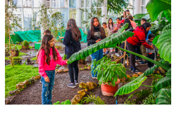 Jóvenes en un invernadero comunitario